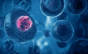 肿瘤产生独特的临时的细胞内细胞结构来逃避免疫治疗