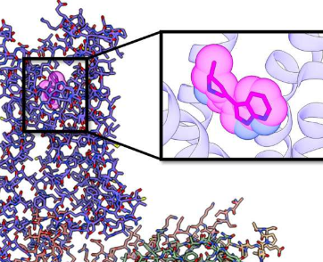 科学家创造了具有相同抗抑郁作用的非迷幻化合物