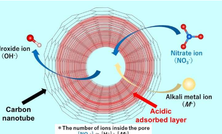 单壁碳纳米管中的酸性层有助于限制阴离子杂质