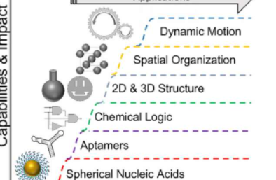 研究人员描绘了核酸纳米技术的未来