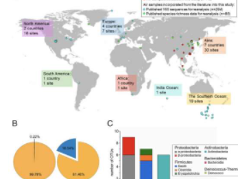 研究揭示了地球上全球空气传播细菌的组成和起源