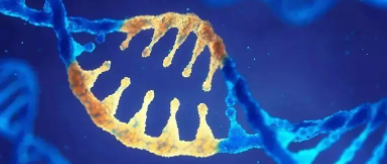 DNA条形码显示癌细胞如何逃避免疫系统的防御