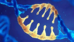 DNA条形码显示癌细胞如何逃避免疫系统的防御