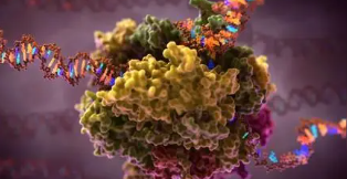 新基因分类器可以预测癌细胞复发或进展的风险