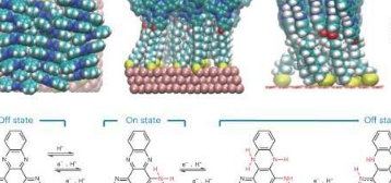 发现揭示分子水平的类脑计算是可能的