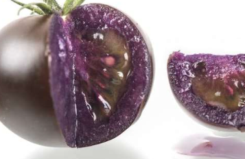 紫番茄的故事以及它的成功为何是转基因食品的胜利