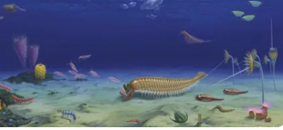 一种微小海洋生物的化石解决了关于节肢动物大脑进化的百年争论