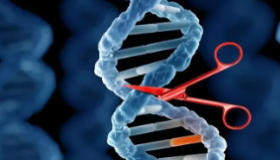 人工智能帮助设计合成DNA来控制细胞的蛋白质生产
