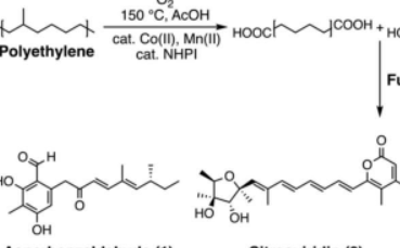 废物横财新工艺有望将塑料垃圾转化为药物