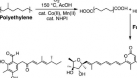 废物横财新工艺有望将塑料垃圾转化为药物
