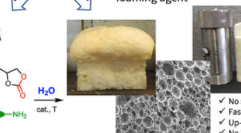 开发更具可持续性和可回收性的聚氨酯泡沫