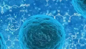 干细胞与微环境的串扰创造了一个肿瘤促进因子循环