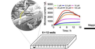 新的电化学测量输出使用数据科学揭示微生物发电机制