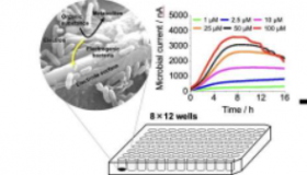 新的电化学测量输出使用数据科学揭示微生物发电机制