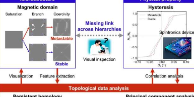 用拓扑数据分析揭示磁化反转机制的复杂性