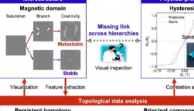 用拓扑数据分析揭示磁化反转机制的复杂性