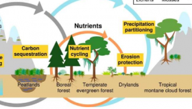 气候变化下非血管光合自养生物的研究议程