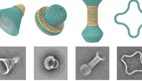 软件可以让研究人员用 DNA 创建微小的圆形物体