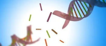 对DNA修复酶的新研究有助于促进抗癌药物的开发
