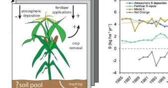 研究表明空气质量的改善导致更多的硫肥使用