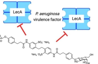 可以消除病原体铜绿假单胞菌的糖基抑制剂