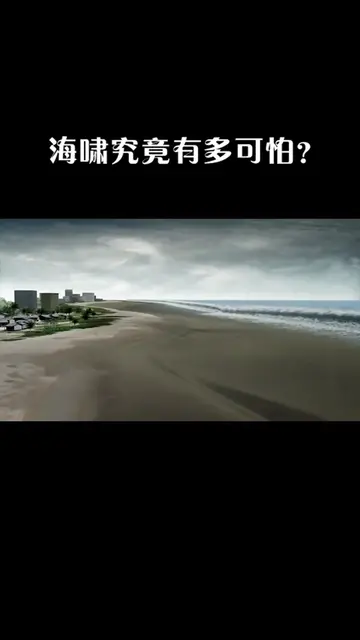 海啸究竟有多可怕准备时间只有几分钟,生还率几乎为零