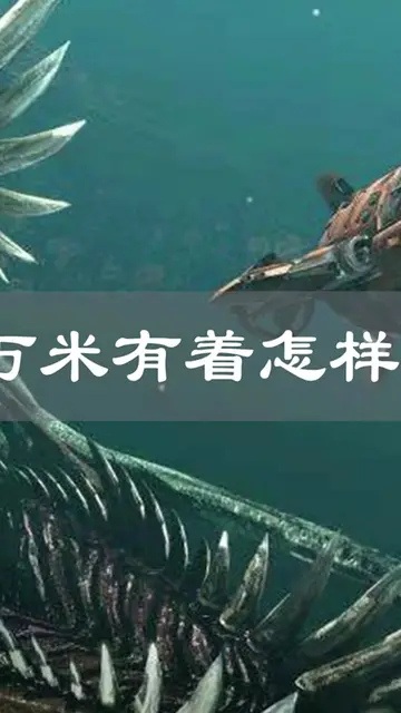 海底6000米下的恐惧 潜入海底1万米,深海恐惧症能看到第几层（中篇）