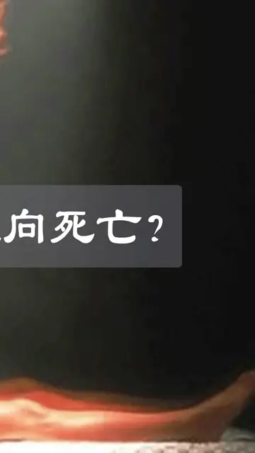 为何所有生命最终都会走向死亡,这是否代表着永远的消失（完结）