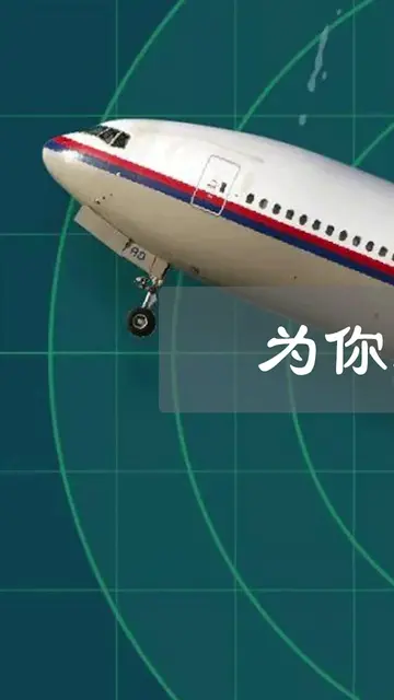 马航MH370失踪之谜,幕后黑手是谁真实版幽灵航班,空中浩劫（上篇）