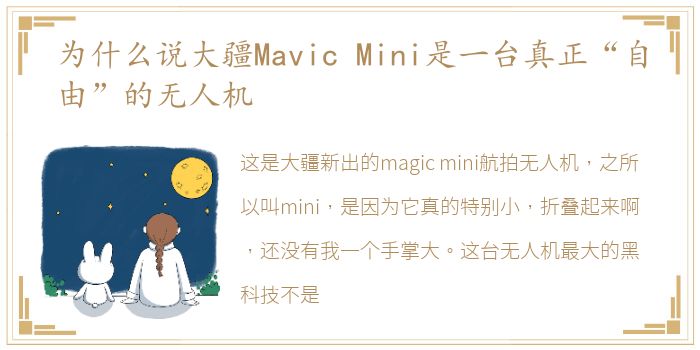 为什么说大疆Mavic Mini是一台真正“自由”的无人机