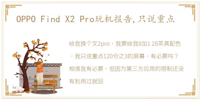 OPPO Find X2 Pro玩机报告,只说重点