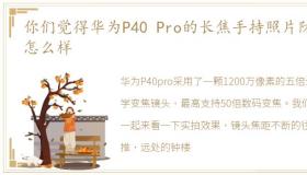 你们觉得华为P40 Pro的长焦手持照片防抖怎么样