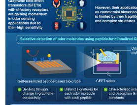 在层叠有自组装肽的石墨烯表面上感应气味分子
