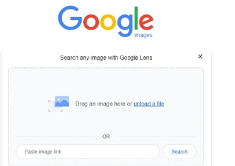 如何使用谷歌图片搜索