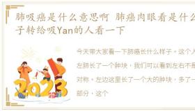 肺吸癌是什么意思啊 肺癌肉眼看是什么样子转给吸Yan的人看一下