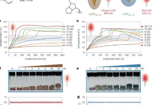 化学家开创了反应性聚合物当暴露在LED灯下时会升温