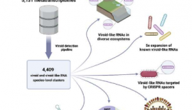 研究人员发现类病毒和类病毒样物质的多样性