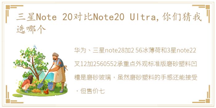 三星Note 20对比Note20 Ultra,你们猜我选哪个