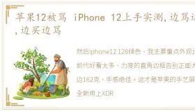 苹果12被骂 iPhone 12上手实测,边骂边买,边买边骂