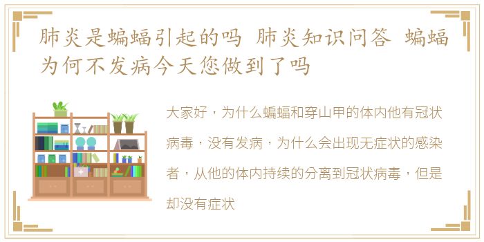 肺炎是蝙蝠引起的吗 肺炎知识问答 蝙蝠为何不发病今天您做到了吗