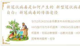 新冠状病毒是如何产生的 新型冠状病毒的自白：新冠病毒的传播途径