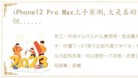 iPhone12 Pro Max上手实测,大是真的大,但......