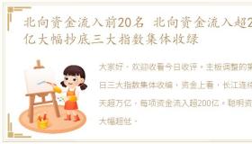 北向资金流入前20名 北向资金流入超200亿大幅抄底三大指数集体收绿