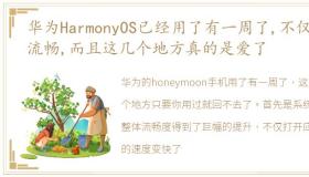 华为HarmonyOS已经用了有一周了,不仅超流畅,而且这几个地方真的是爱了