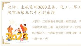 收评：主板重回3600医美、化工、军工领涨市场第三只千元谷出现