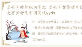 复兴号的智能动车组 复兴号智能动车组究竟有多舒适中国高铁yyds