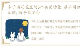 车子油箱盖里的5个实用功能,很多司机不知道,新手要学会