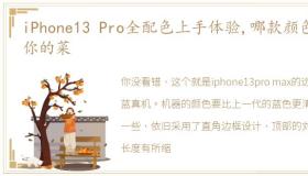 iPhone13 Pro全配色上手体验,哪款颜色是你的菜