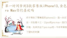 第一时间拿到3款零售版iPhone13,金色的Pro Max你们喜欢吗