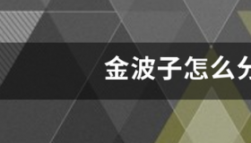 金波子2-3厘米能繁殖吗？ 金波子怎么分公母